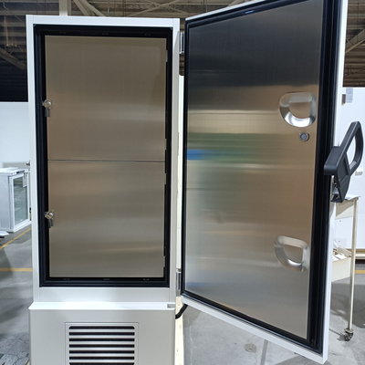 588L Ultra-Niedrigtemperatur-Tiefkühlschrank zur Lagerung von Impfstoffen in Labor- oder Krankenhausumgebungen