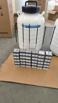 Qualität  Portable Liquid Nitrogen Dry Shipper – Safe Transport of Cells and Tissues Fabrik