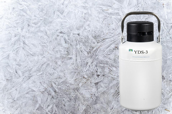 Mini Portable Cryogenic Liquid Nitrogen-Sammelbehälter für Zelle
