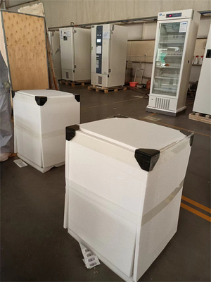 2-8 Grad 60L Mini Kleine Apotheke Medizinische Impfstoffe Kühlschrank Kühlschrank mit Glastür
