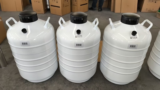 Dry Shipper in der Dampfphase  Transportbehälter für flüssigen Stickstoff für Laborproben 35L