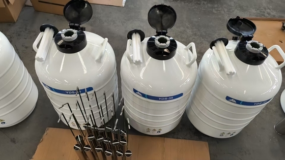 Dry Shipper in der Dampfphase  Transportbehälter für flüssigen Stickstoff für Laborproben 35L
