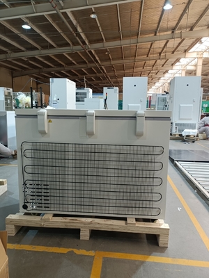 MDF-40H305 -40℃ Biomedizinische Truhengefriertruhe 305L Großraum Medizinische Tiefkühltruhe für Viren-, Blut- & Laborlagerung