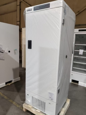 MDF-40V328E -40℃ Biomedizinischer Tiefkühlschrank | 328L Vertikaler Medizinischer Gefrierschrank für Impfstoffe, Blut & biologische Proben