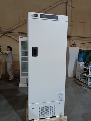 MDF-40V328E -40℃ Biomedizinischer Tiefkühlschrank | 328L Vertikaler Medizinischer Gefrierschrank für Impfstoffe, Blut & biologische Proben