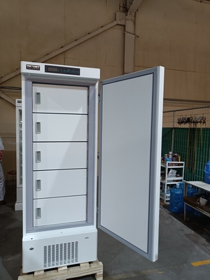 MDF-40V328E -40℃ Biomedizinischer Tiefkühlschrank | 328L Vertikaler Medizinischer Gefrierschrank für Impfstoffe, Blut & biologische Proben